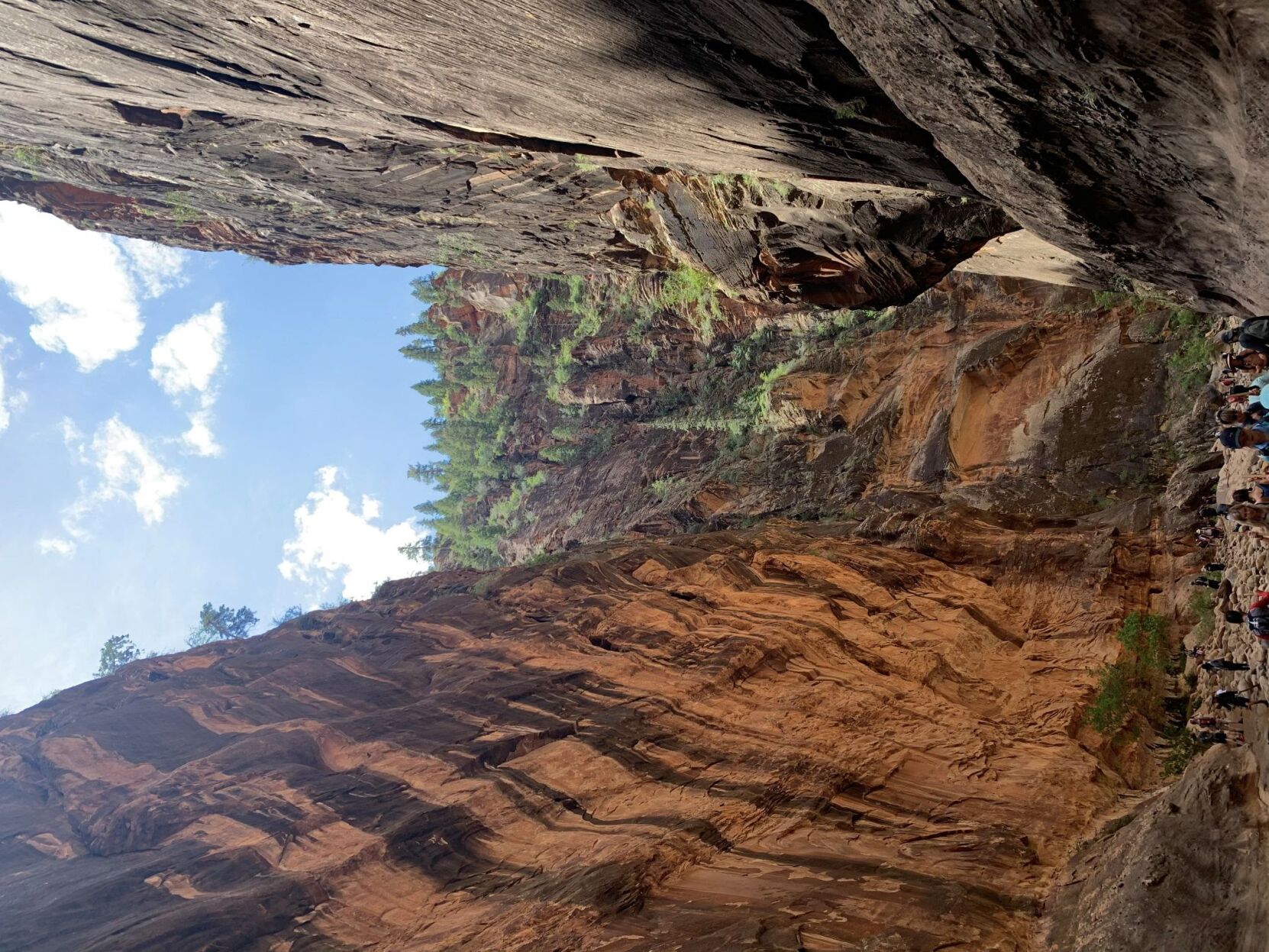 out west view